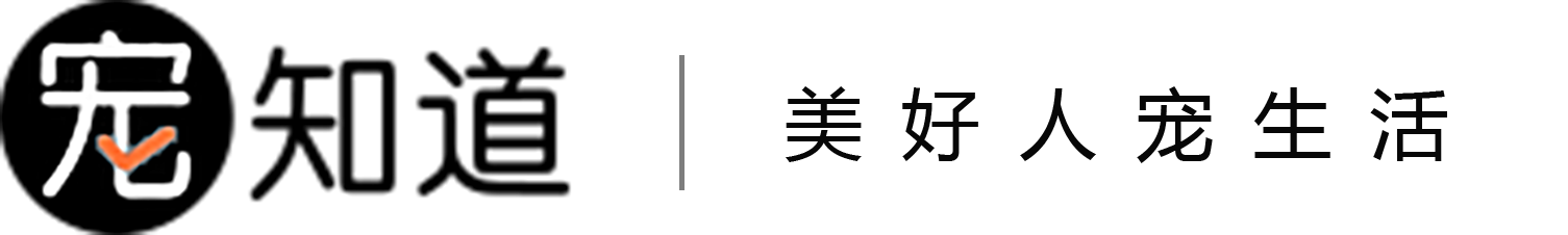 【宠知道官网】宠物店加盟_开宠物店_国内知名宠物店连锁品牌